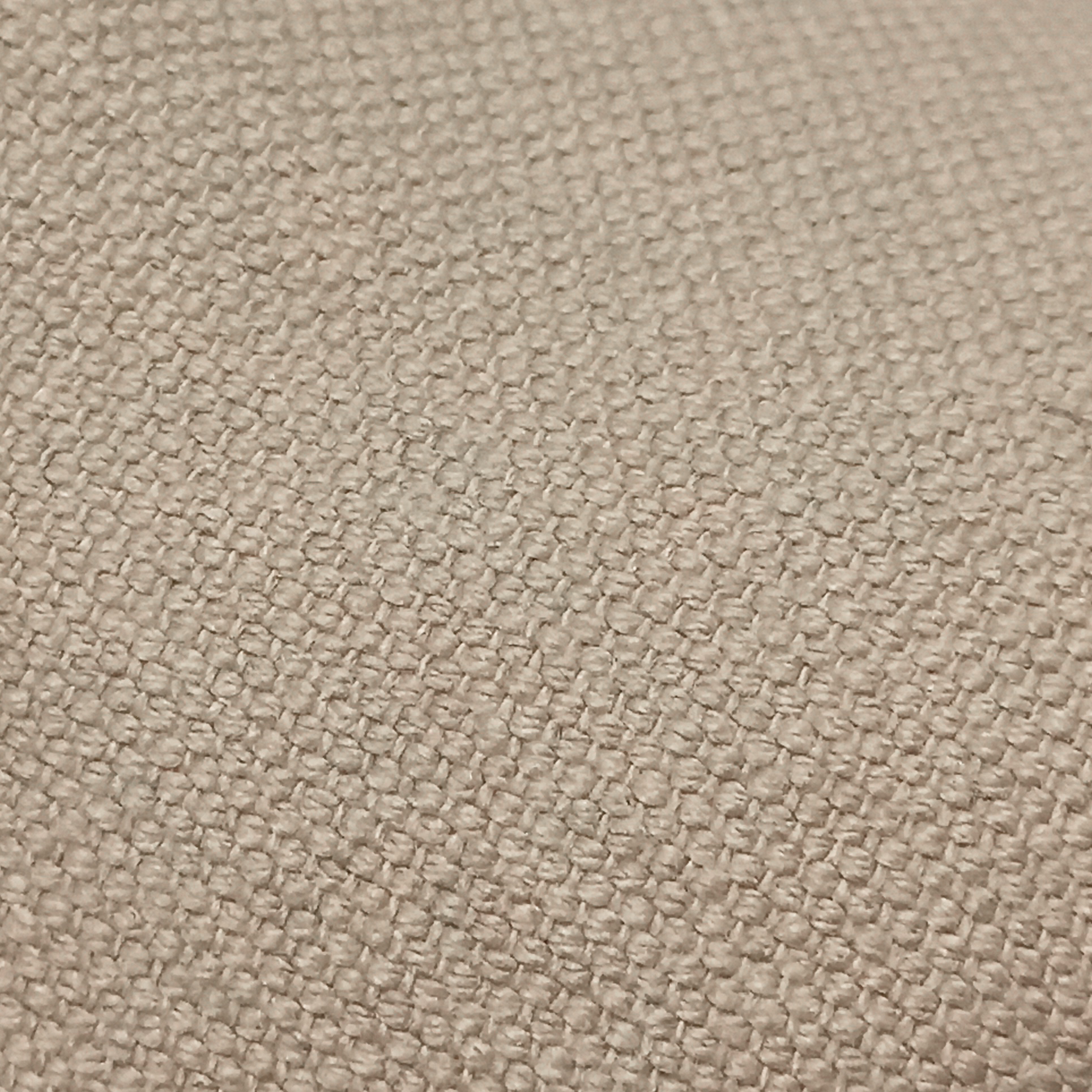 ANATOMIC - STARTER ECO - AE01